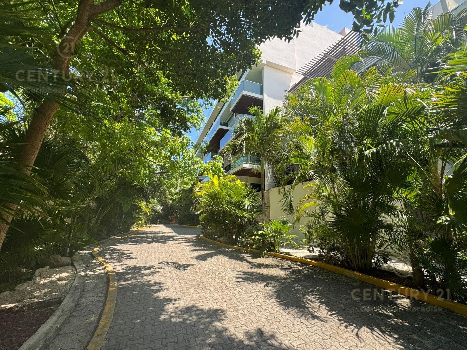 Renta Departamento Amueblado con Jacuzzi Cruz con Mar | Playa del Carmen | P3786