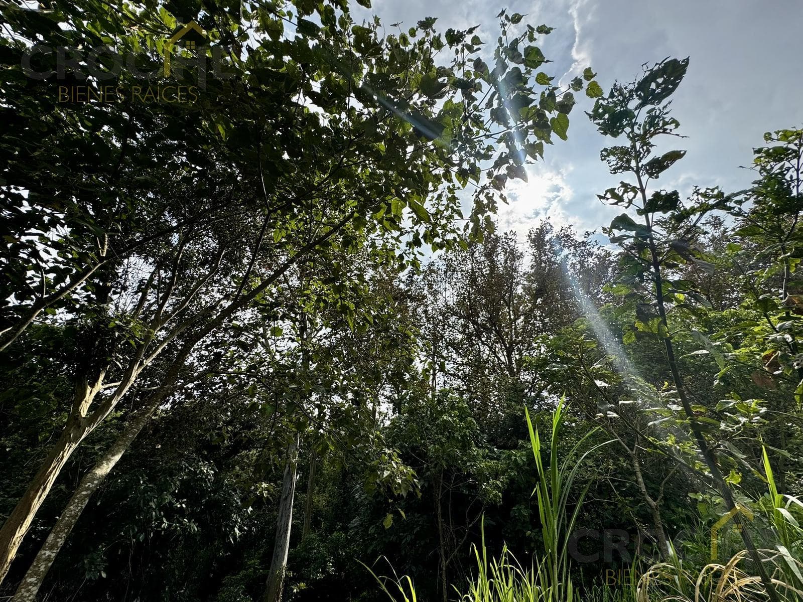 Lot in the La Finca Subdivision, Pedregal de las Animas Area, Xalapa