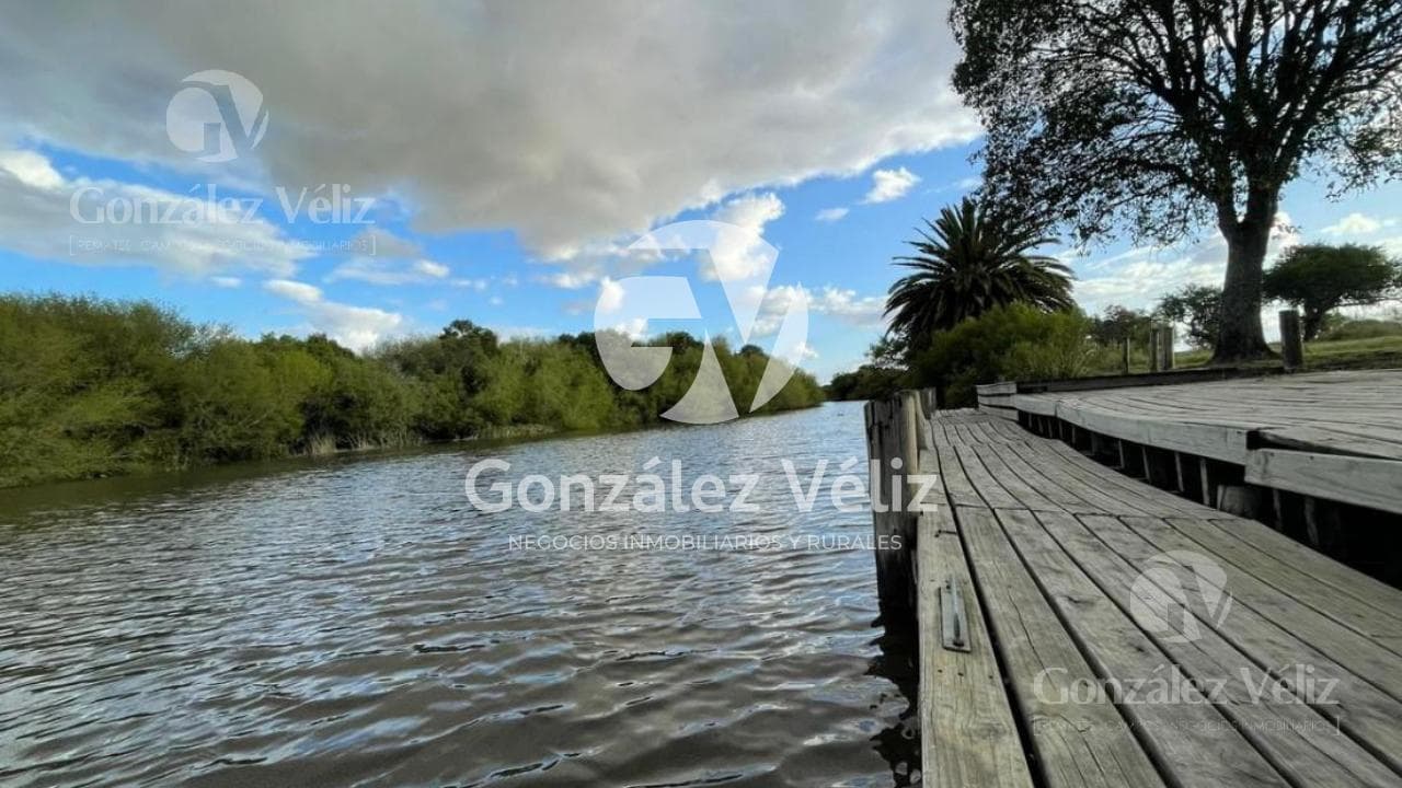Home - Juan Gonzalez