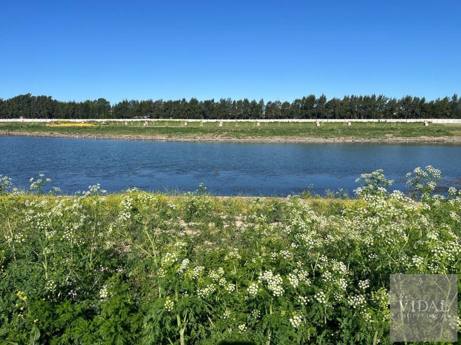 Lot by the lake in the Silvestre neighborhood of Nordelta