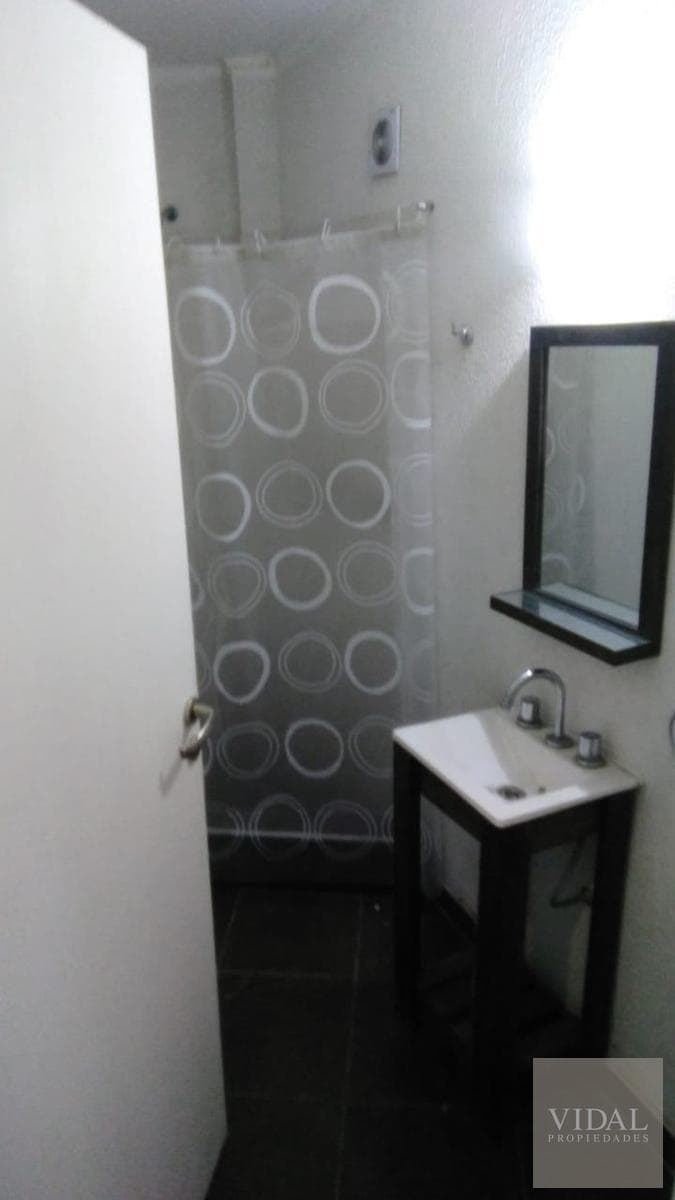 Bright Studio Apartment for Rent in Pilar Centro