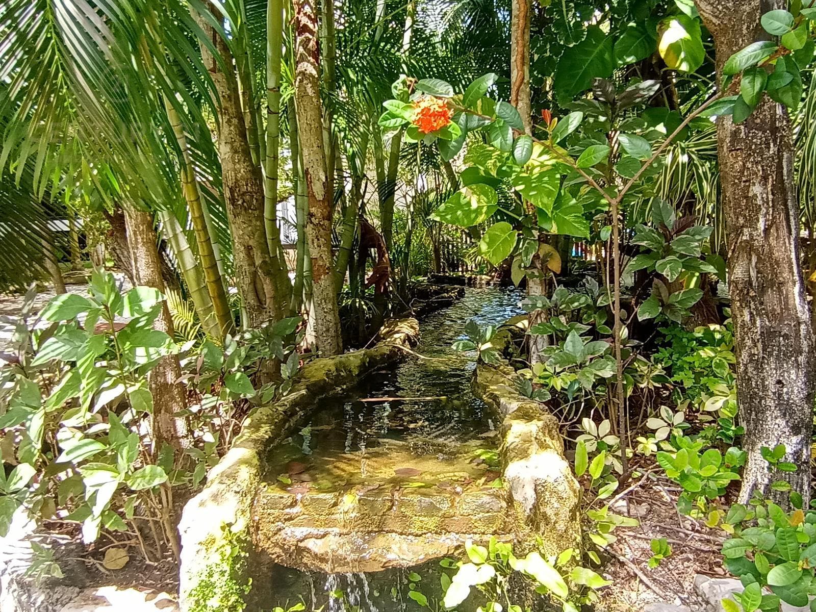Renta departamento PB amueblado Selvamar Playa del Carmen P3916