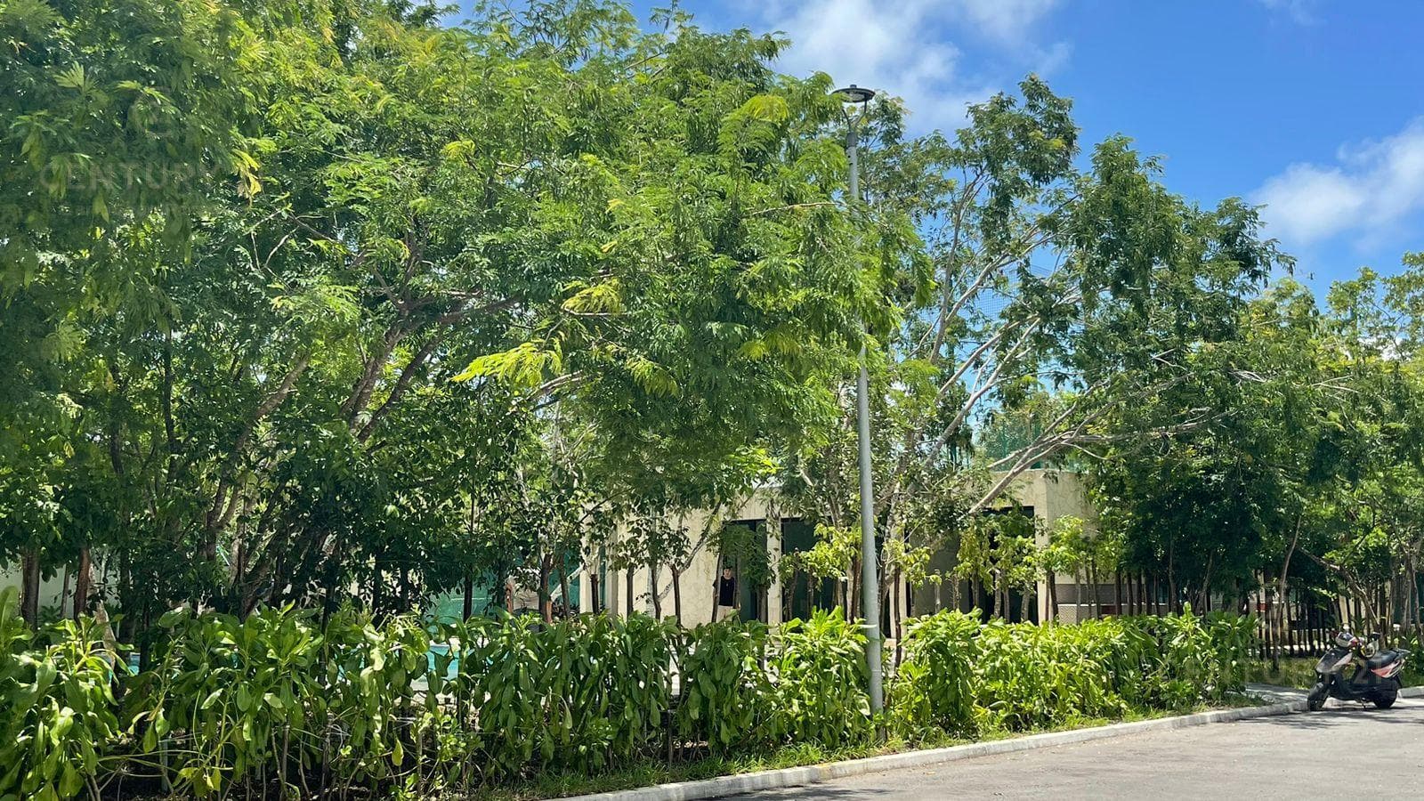 Casa de 3 recámaras con rooftop en Playa del Carmen P3940