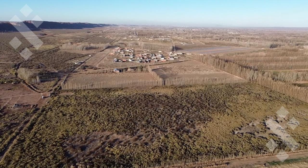 FOR SALE: 10 HECTARES IN PLOTTIER, NEUQUÉN—Ideal for Agricultural Production