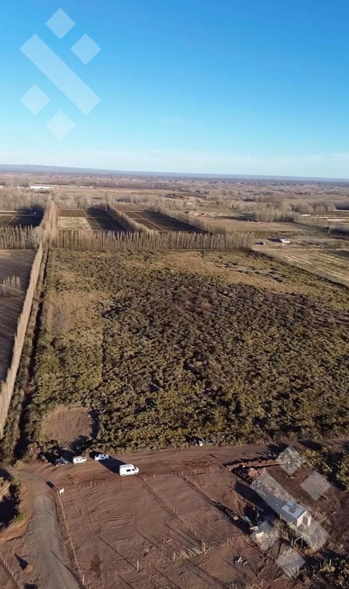 FOR SALE: 10 HECTARES IN PLOTTIER, NEUQUÉN—Ideal for Agricultural Production