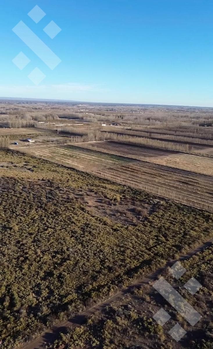 FOR SALE: 10 HECTARES IN PLOTTIER, NEUQUÉN—Ideal for Agricultural Production