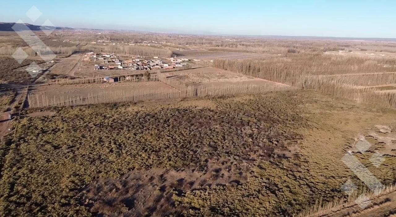 FOR SALE: 10 HECTARES IN PLOTTIER, NEUQUÉN—Ideal for Agricultural Production
