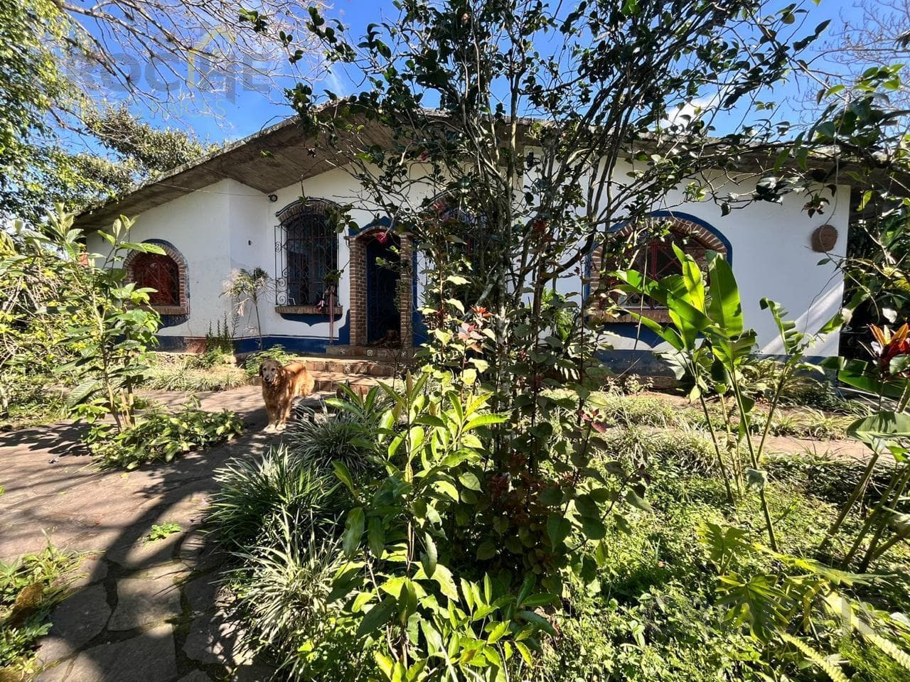 House for sale in the Rébsamen and Mascareñas area