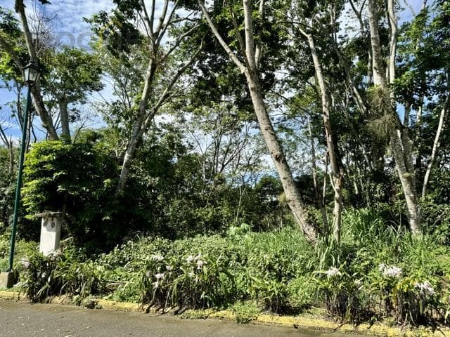 Land for Sale in the San José Coatepec Subdivision, Veracruz