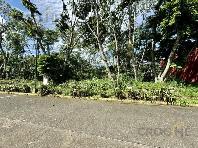 Land for Sale in the San José Coatepec Subdivision, Veracruz