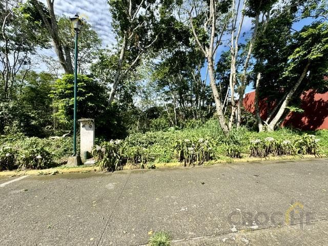Land for Sale in the San José Coatepec Subdivision, Veracruz