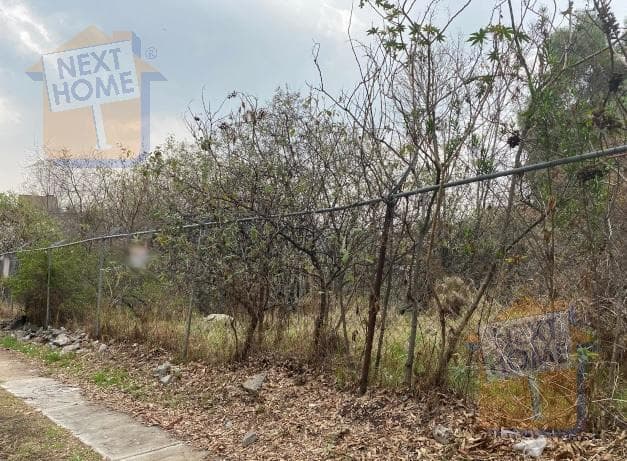 LAND FOR SALE IN LOMAS DE LA HERRADURA