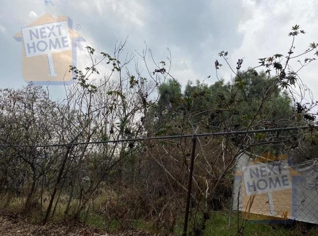LAND FOR SALE IN LOMAS DE LA HERRADURA