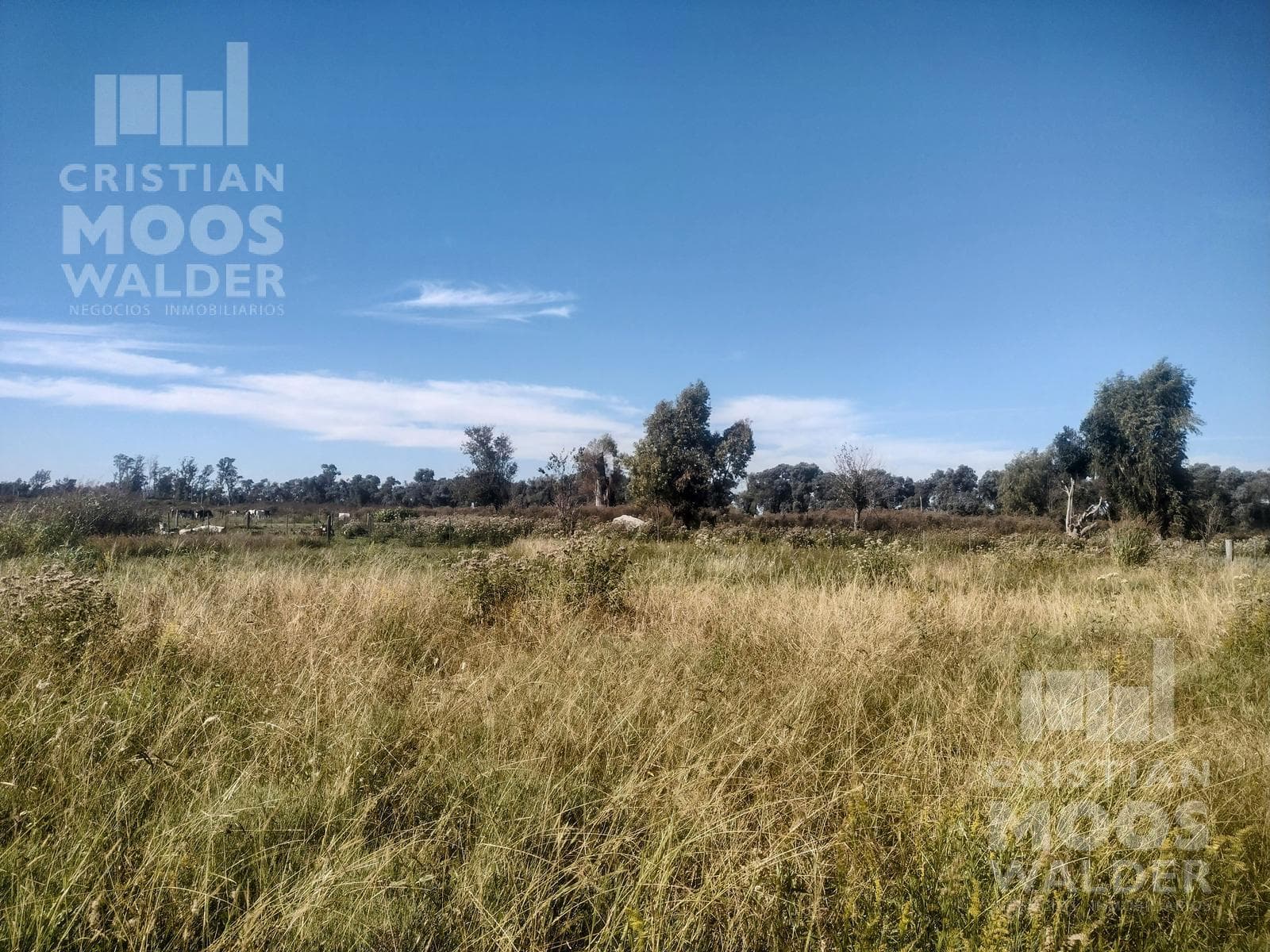 Land for Sale in Exaltación de la Cruz