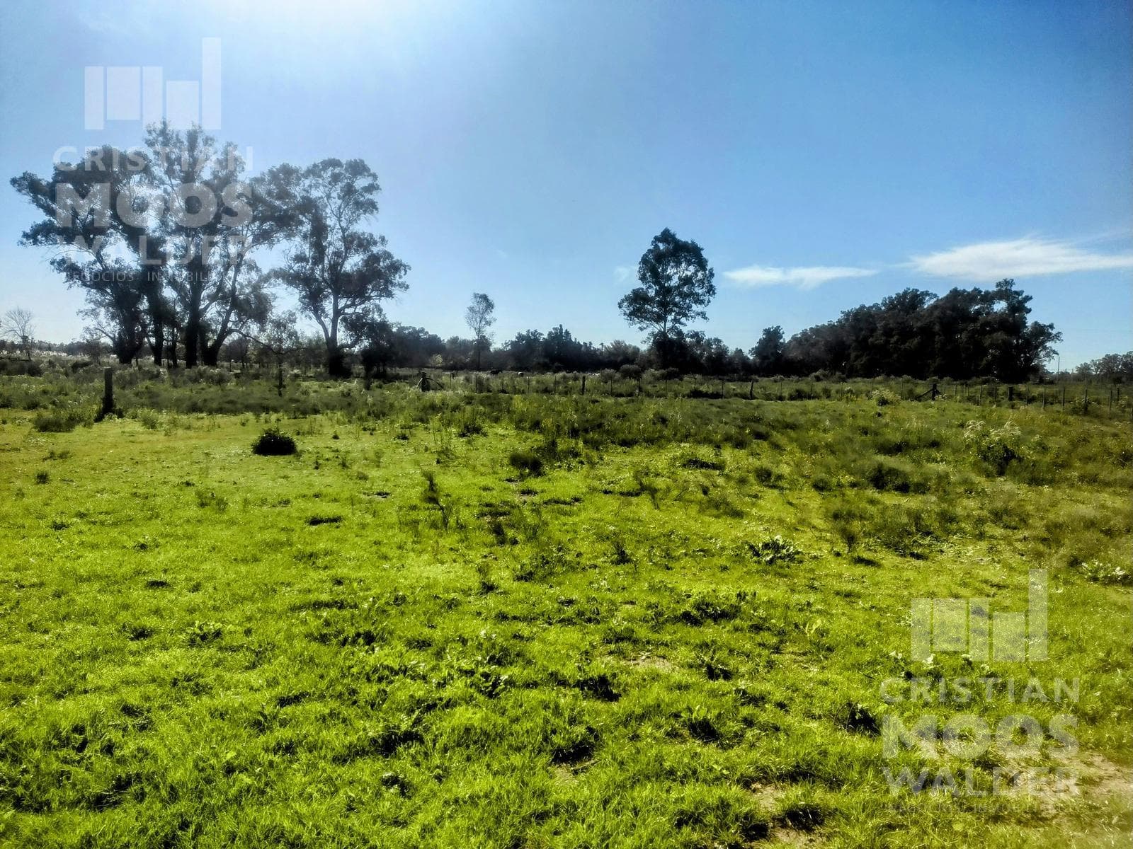 Land for Sale in Exaltación de la Cruz