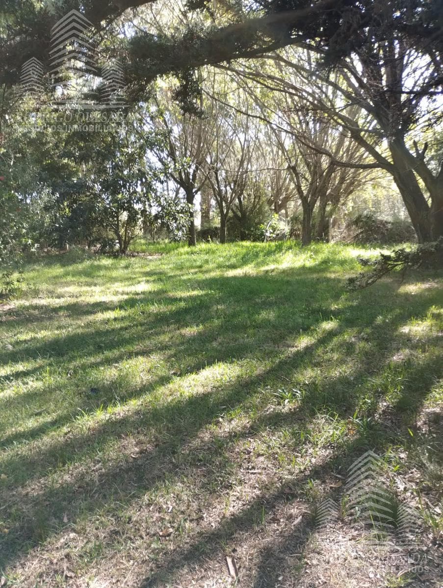 Land in General Lavalle