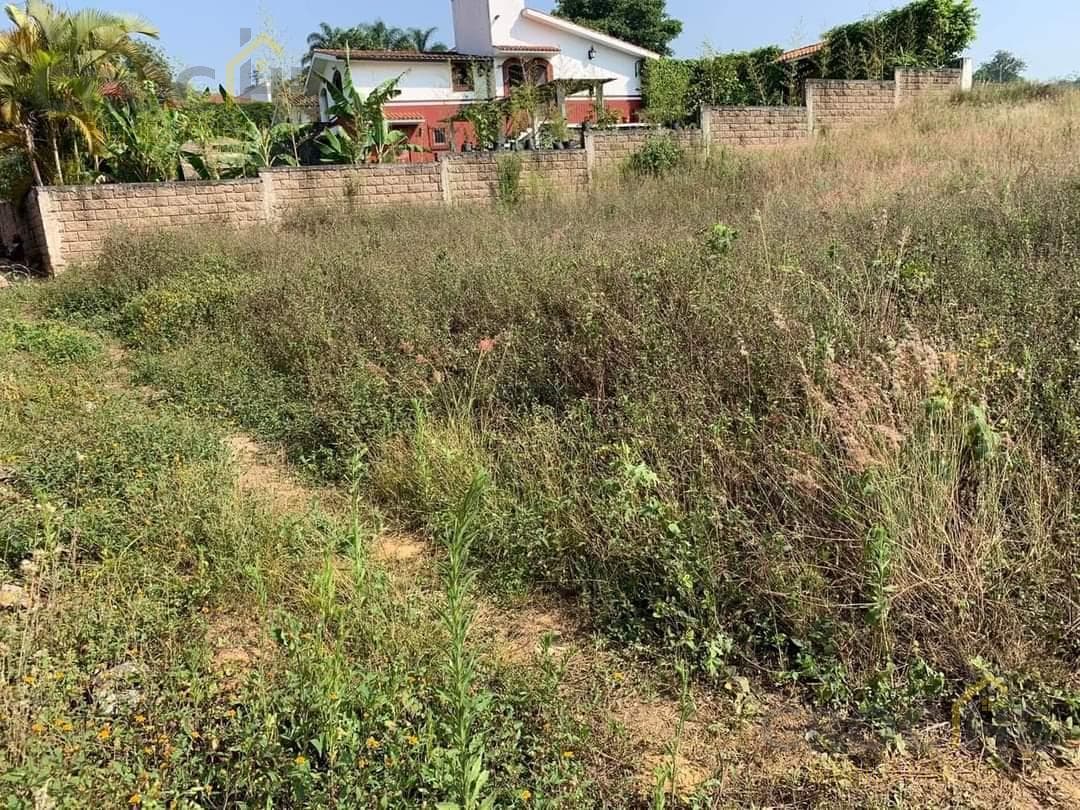 Land for sale in the former Zimpizahua Hacienda area