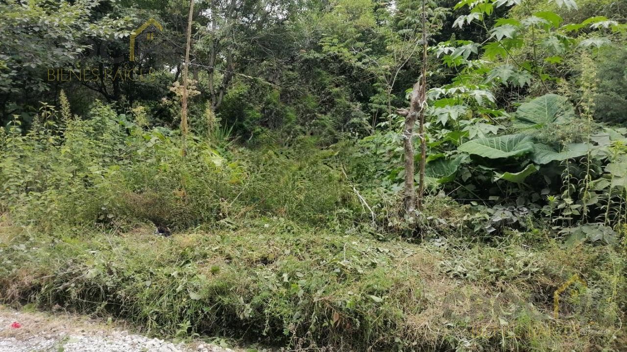 Land for Sale in Tlalnelhuayocan