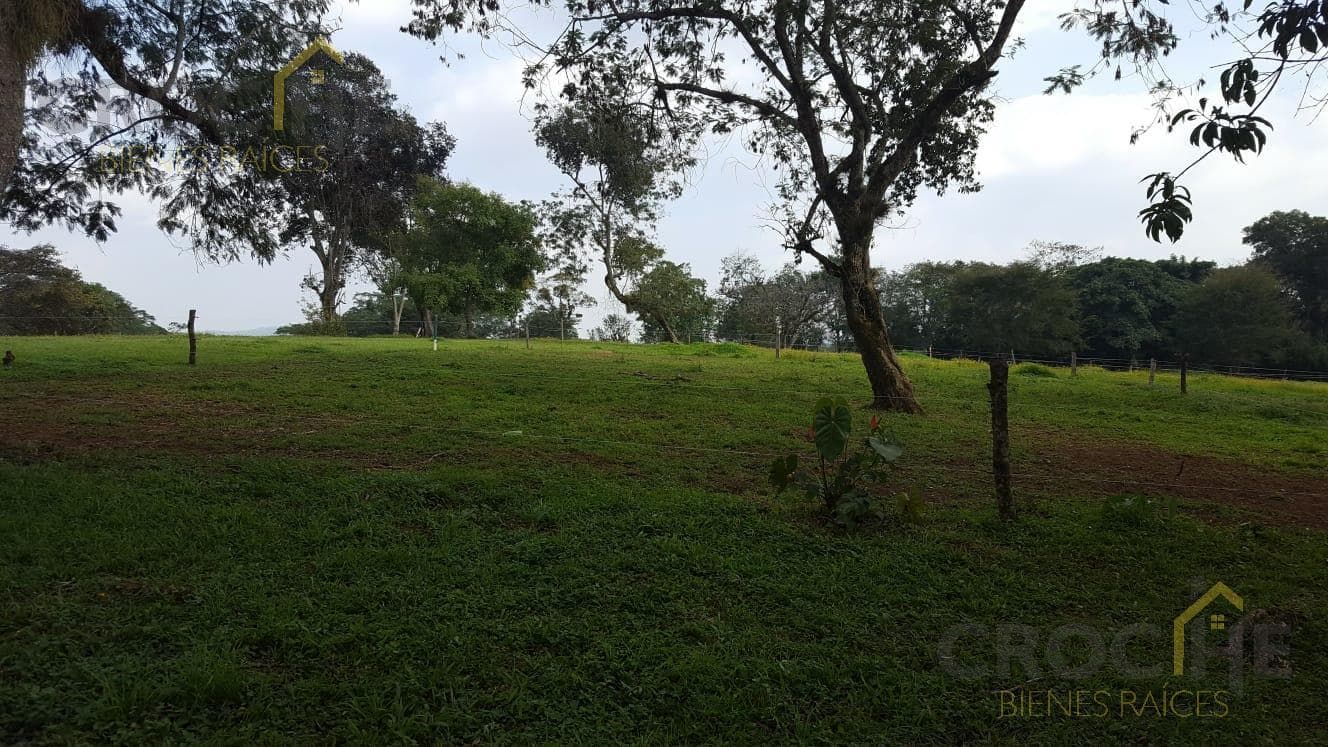 Rural Land for Sale in the Consolapan Area