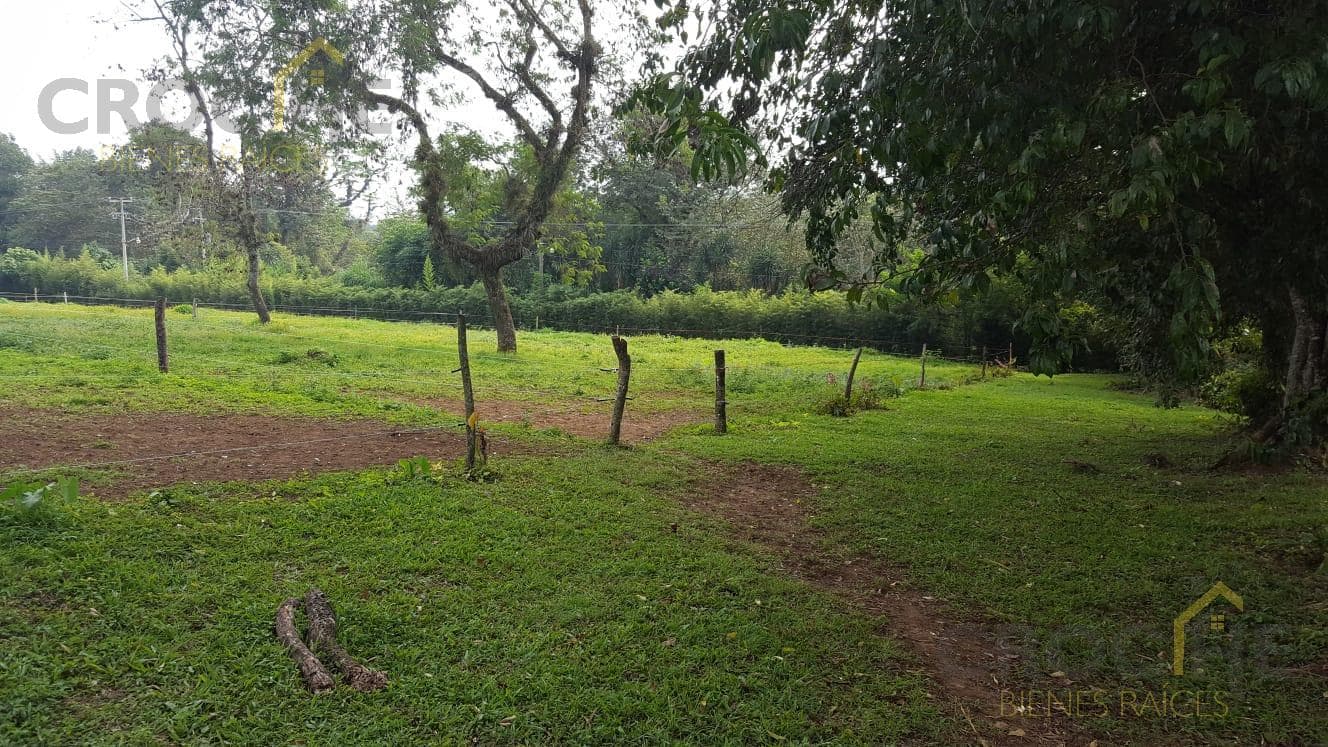 Rural Land for Sale in the Consolapan Area