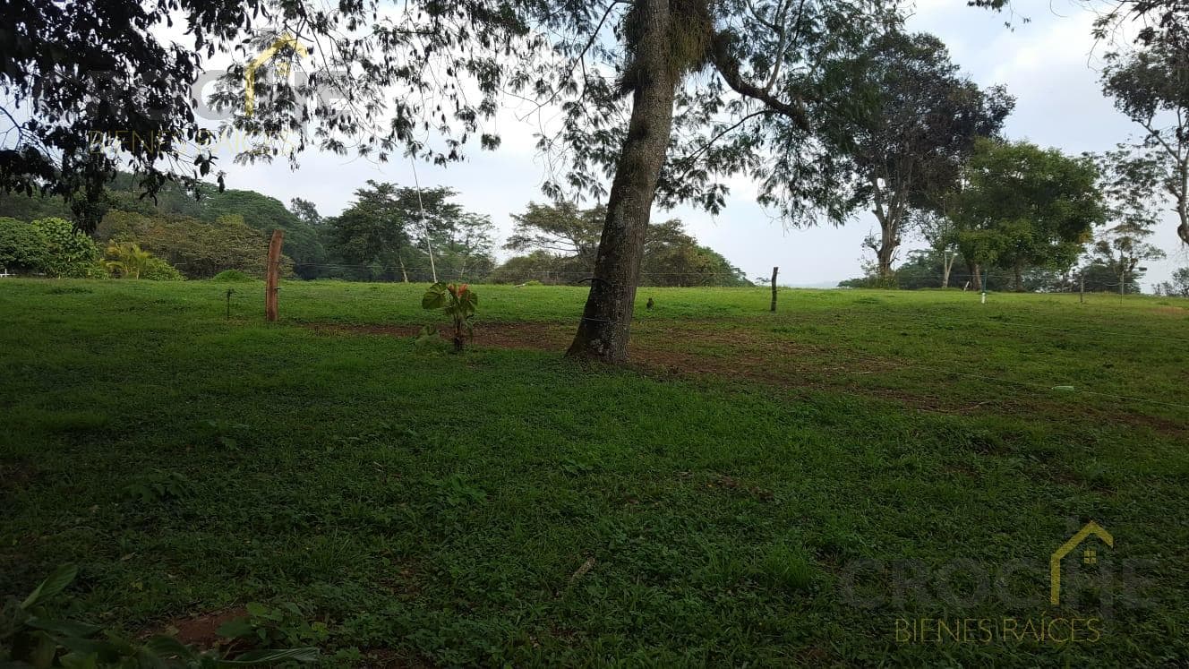Rural Land for Sale in the Consolapan Area