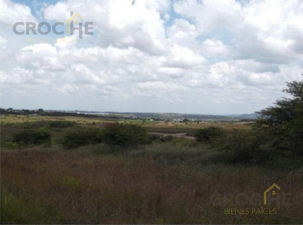 Land for sale in El Lencero.
