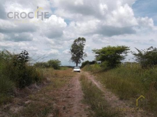 Land for sale in El Lencero.