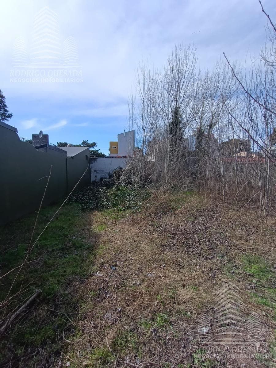 | 600-square-meter lot | | San Bernardo |