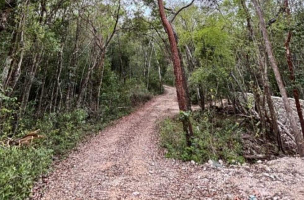 Eco-Friendly Lot for Sale | Francisco Uh May Tulum | Invest in the Jungle Near Azulik | P4252