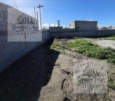 Land for Rent, Viñedos Casa Blanca, Tijuana, B.C.