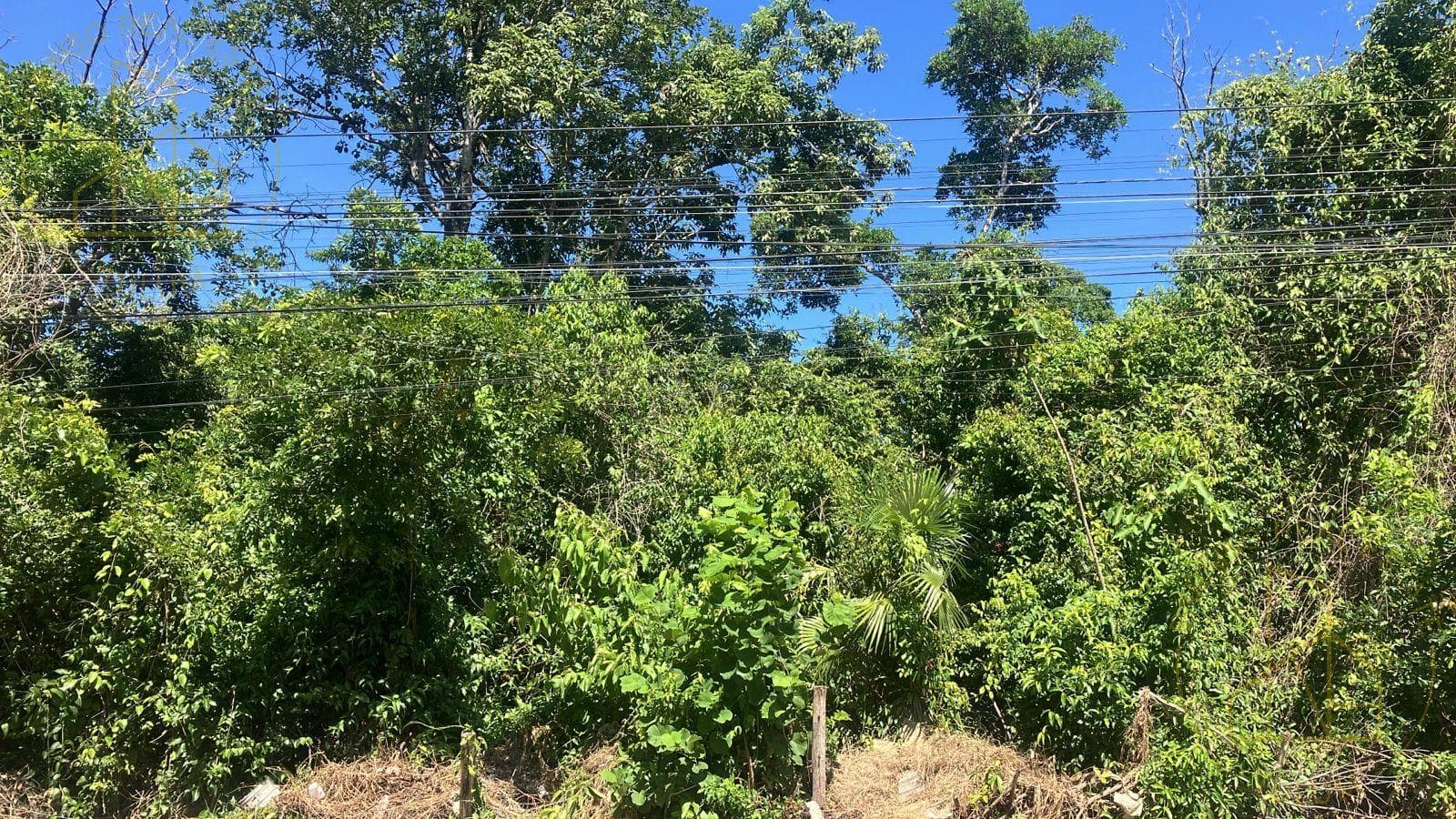 4 Adjacent Lots on Calle 4 Sur - 1,200 m² - Prime Location