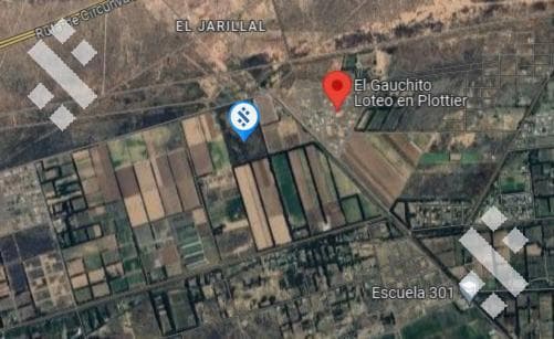 FOR SALE: 10 HECTARES IN PLOTTIER, NEUQUÉN—Ideal for Agricultural Production