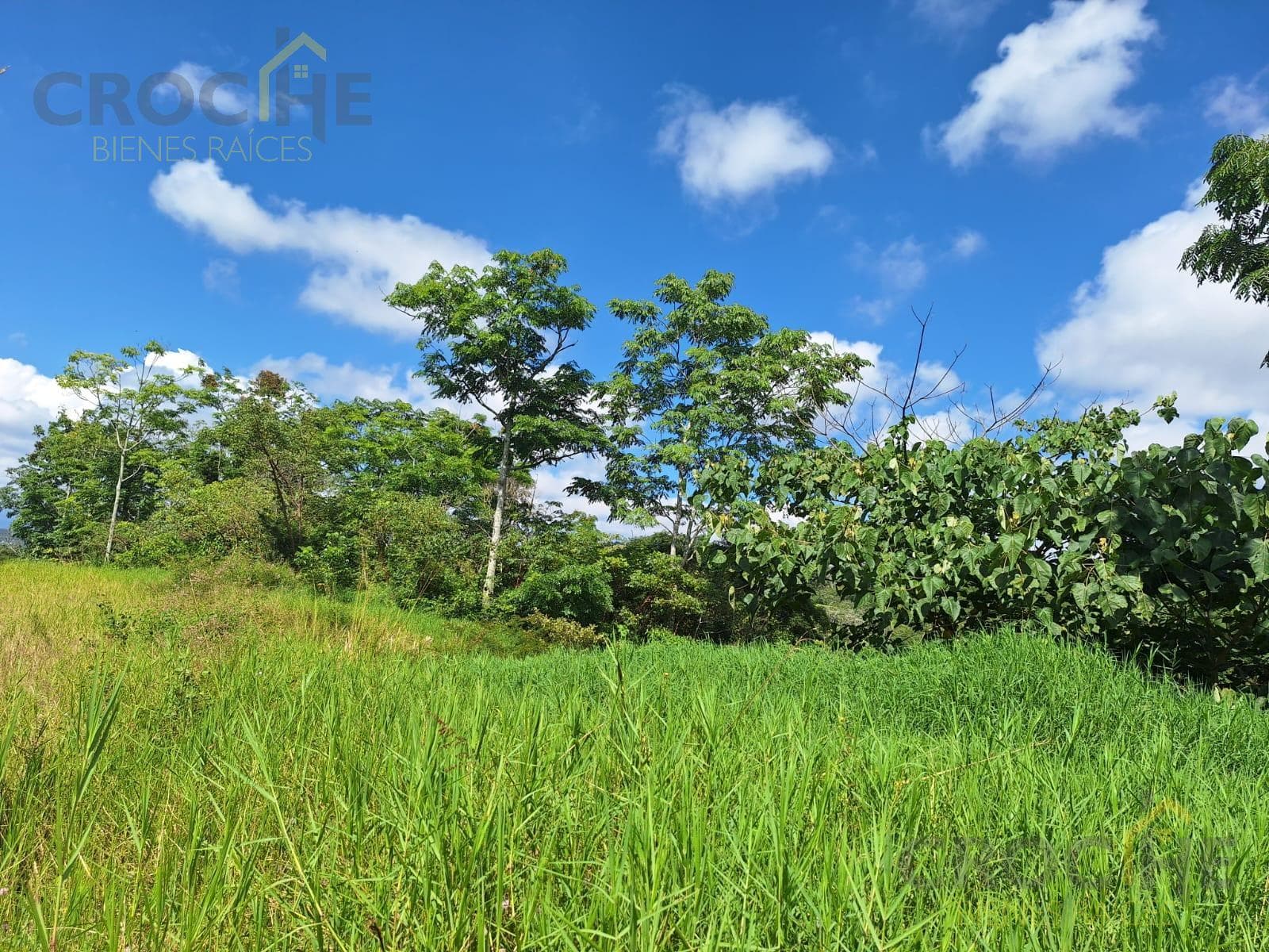 Land for sale in the Las Trancas area of Emiliano Zapata, Veracruz