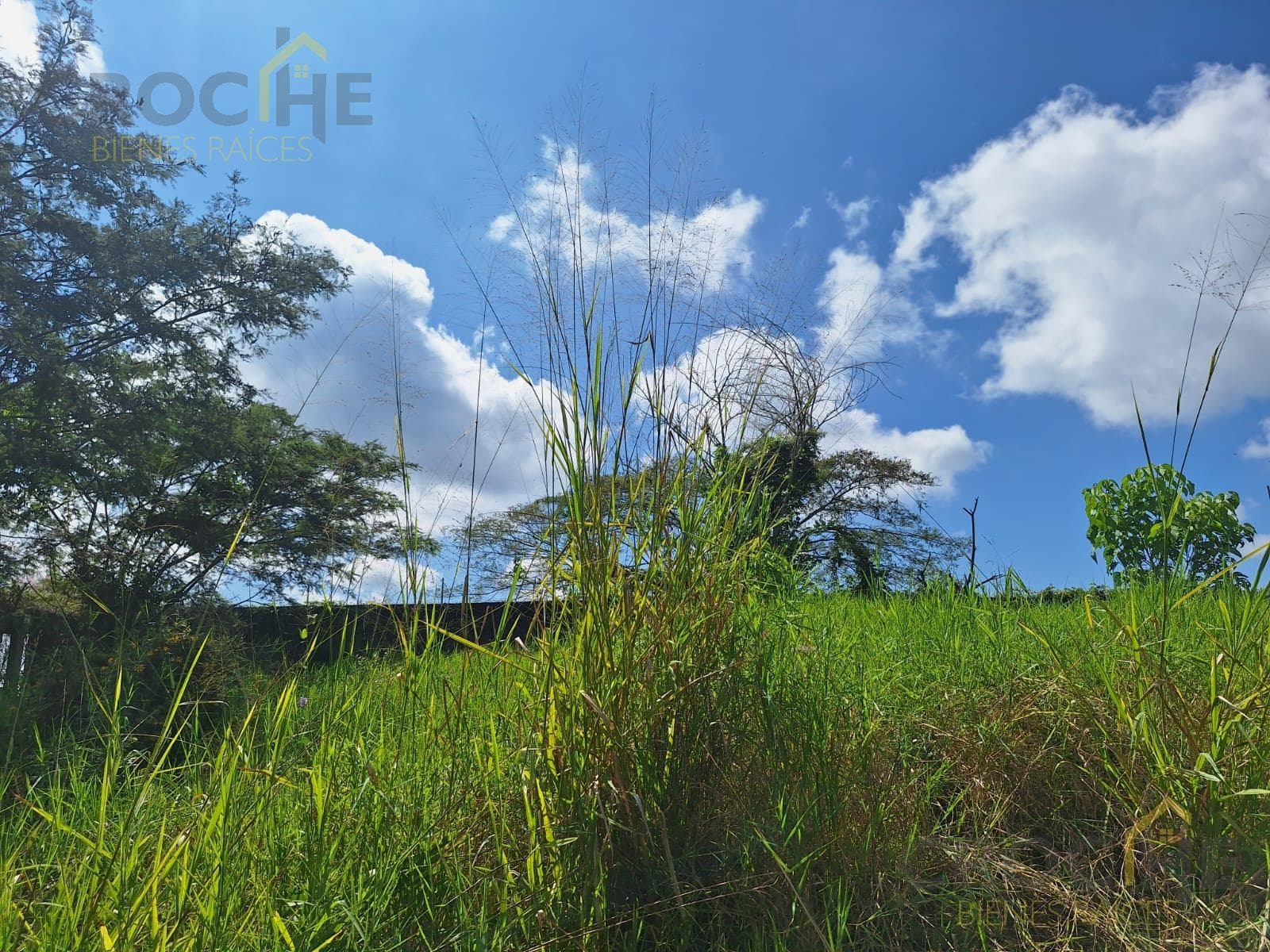 Land for sale in the Las Trancas area of Emiliano Zapata, Veracruz