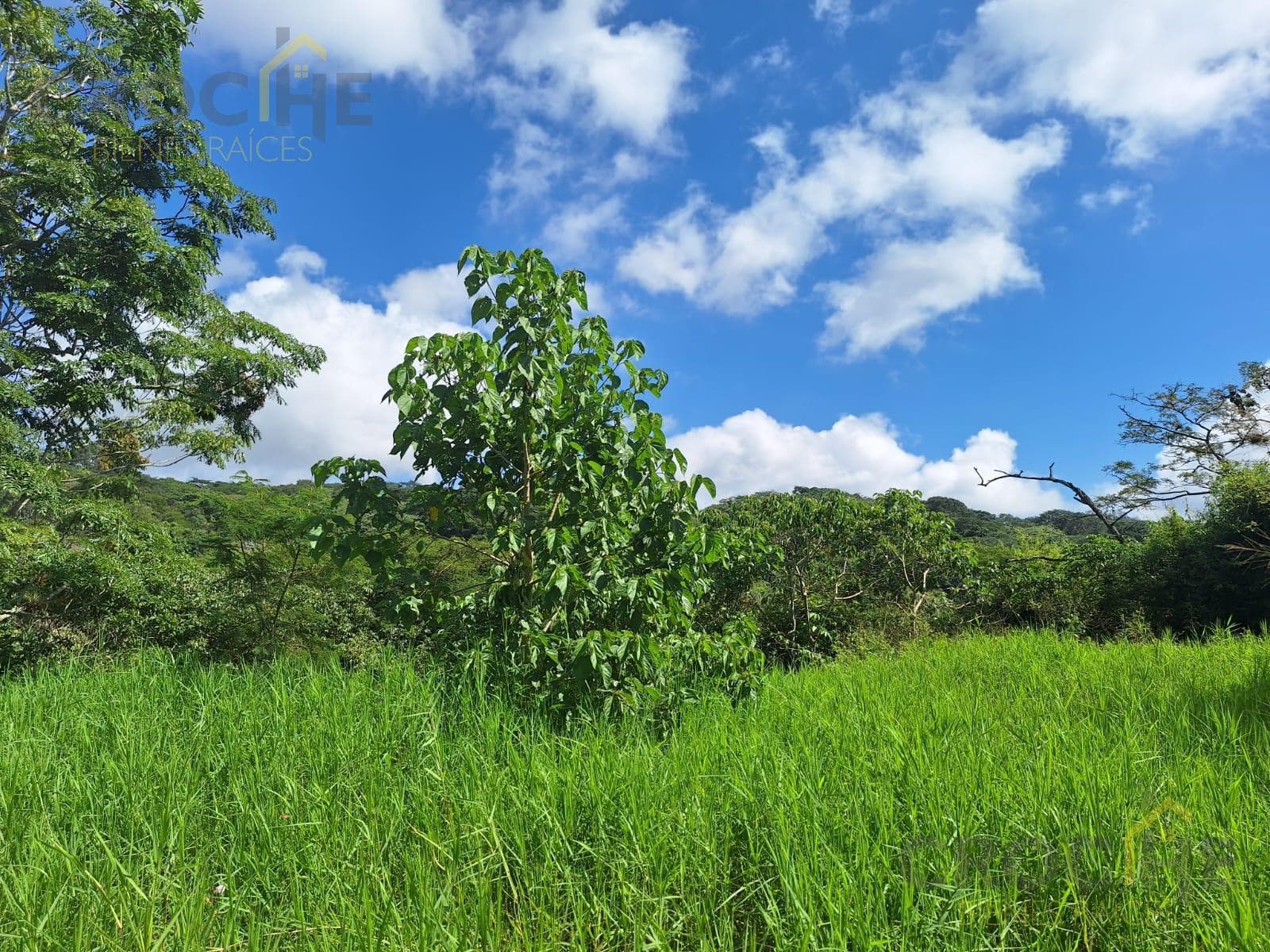 Land for sale in the Las Trancas area of Emiliano Zapata, Veracruz