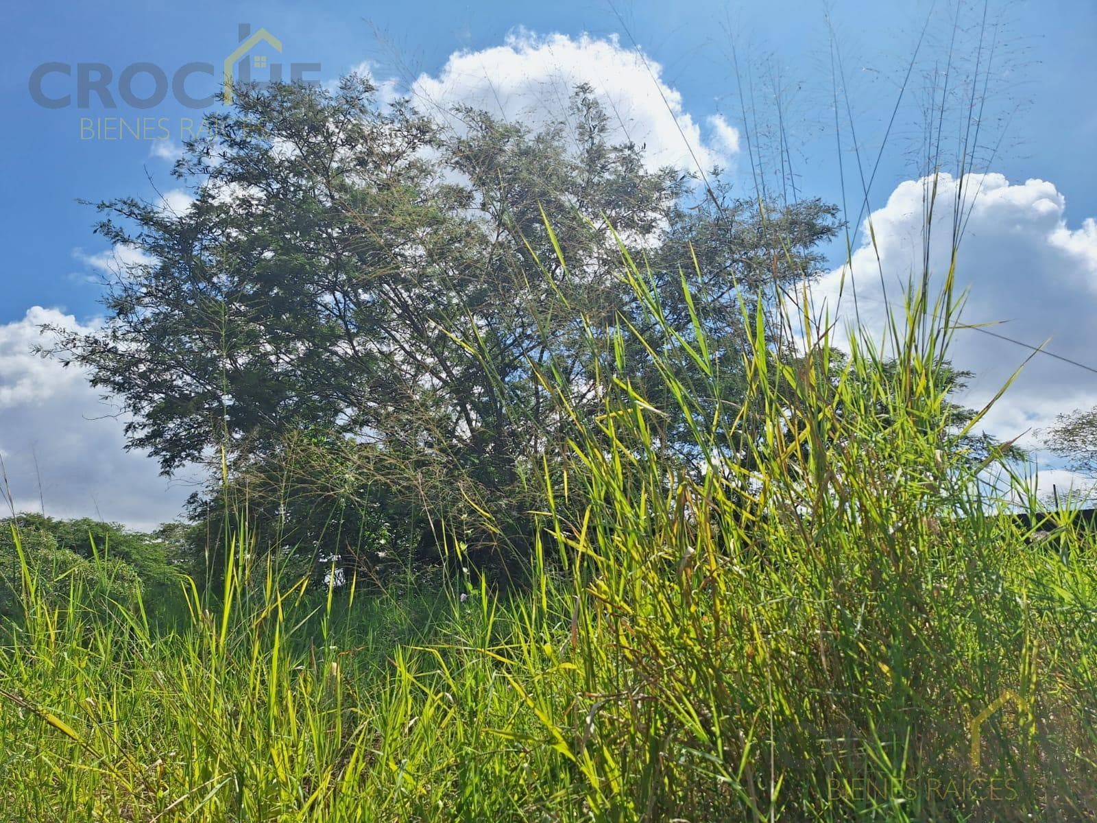 Land for sale in the Las Trancas area of Emiliano Zapata, Veracruz
