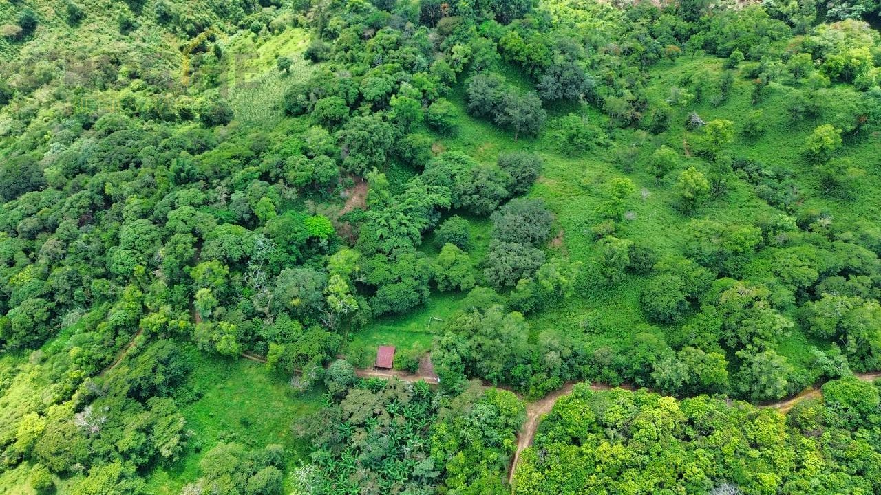 Ranches for Sale in Coatepec - Xico, 107 Hectares