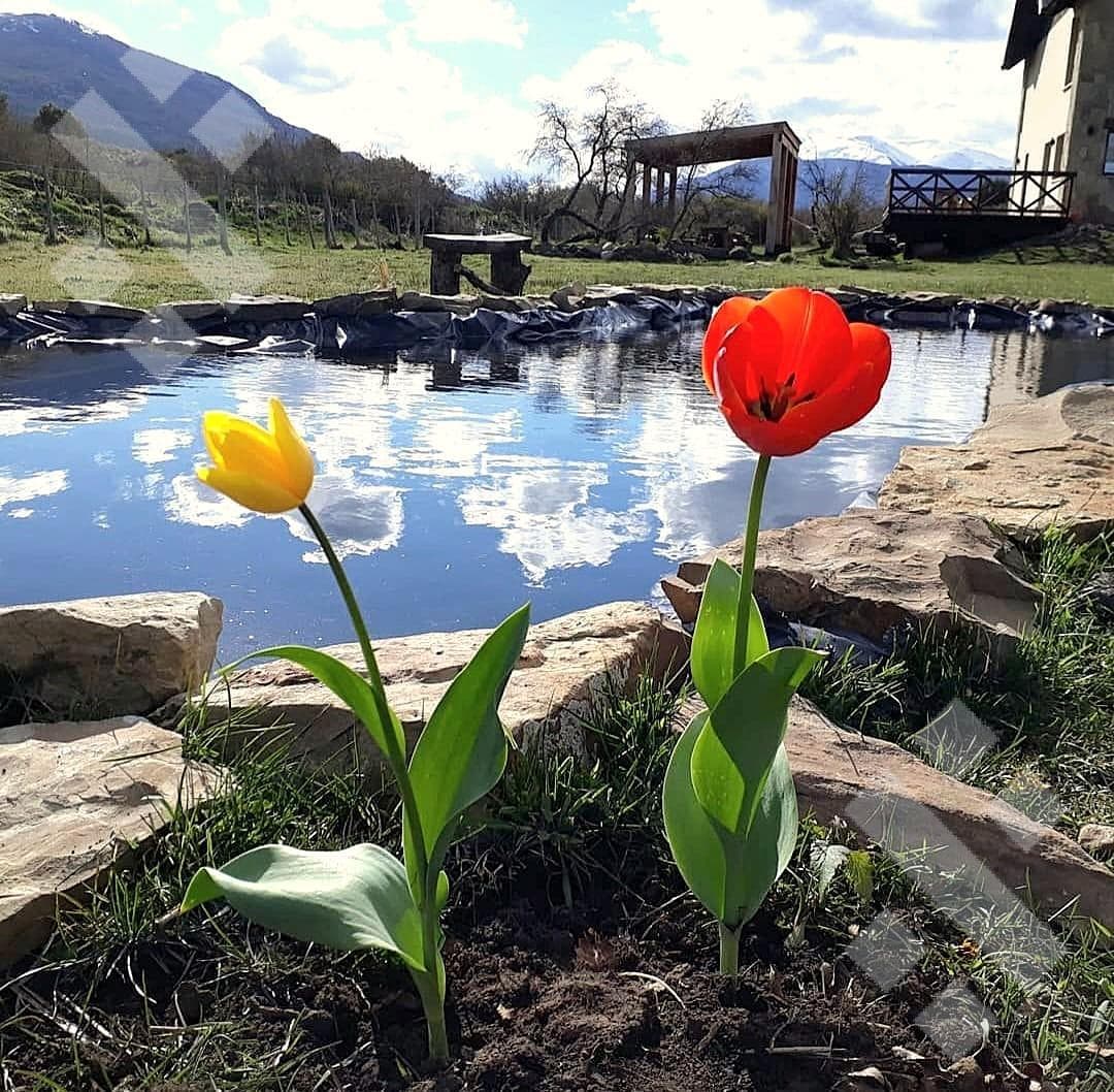 FOR SALE: HOUSE - Quilquihue - Lolog - San Martín de los Andes