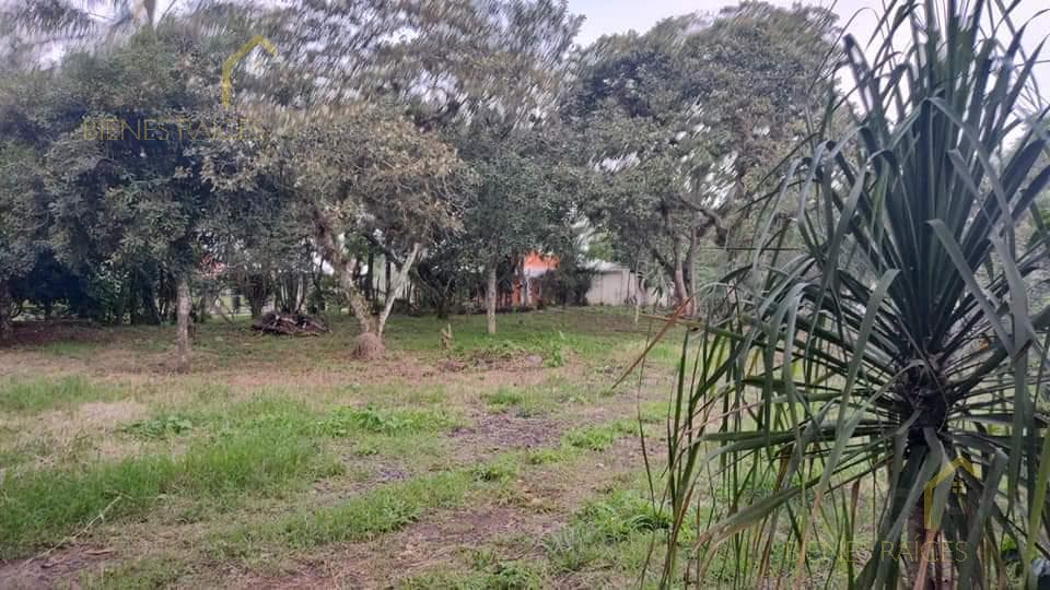 Land for Sale in La Orduña, Coatepec, Near the New Bypass