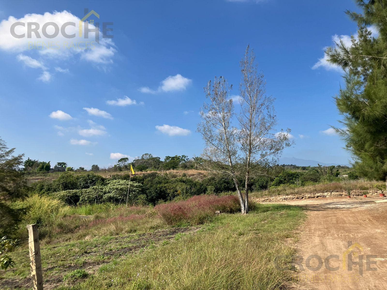 Land for Sale in El Lencero