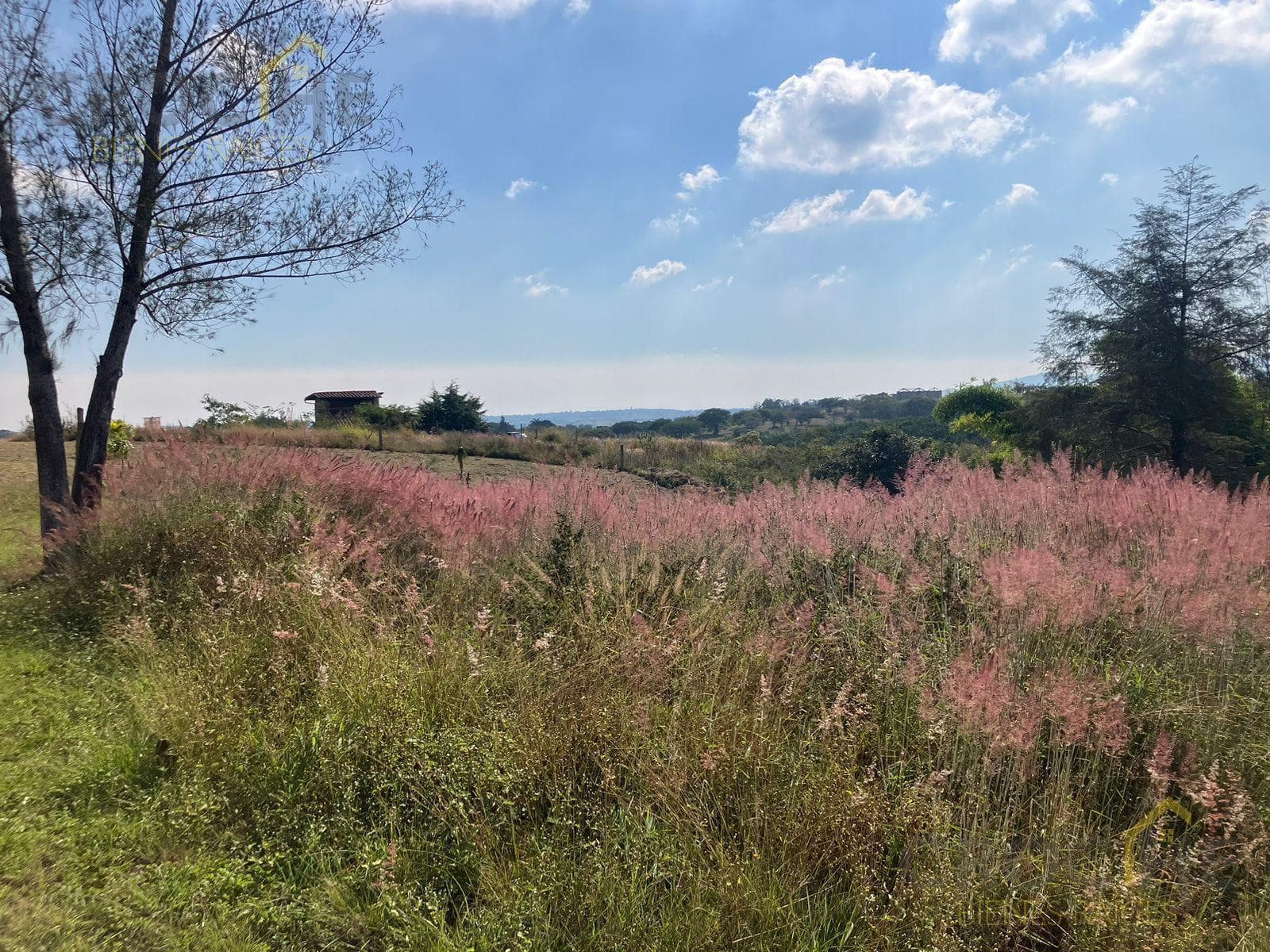 Land for Sale in El Lencero