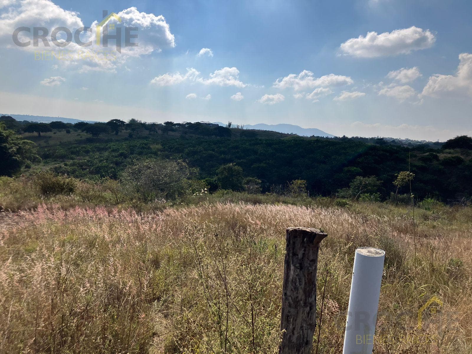 Land for Sale in El Lencero