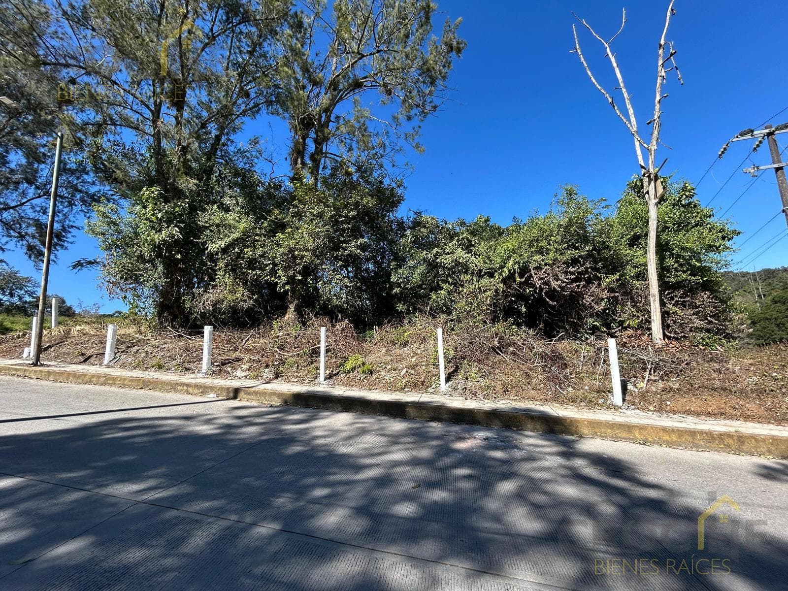 Land for Sale on the Xalapa–Coatepec Highway, Arenales Area