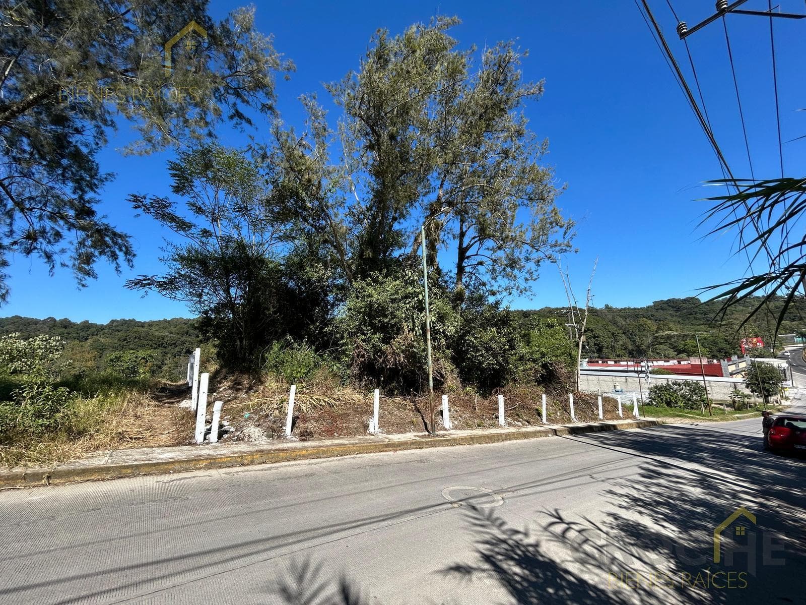 Land for Sale on the Xalapa–Coatepec Highway, Arenales Area