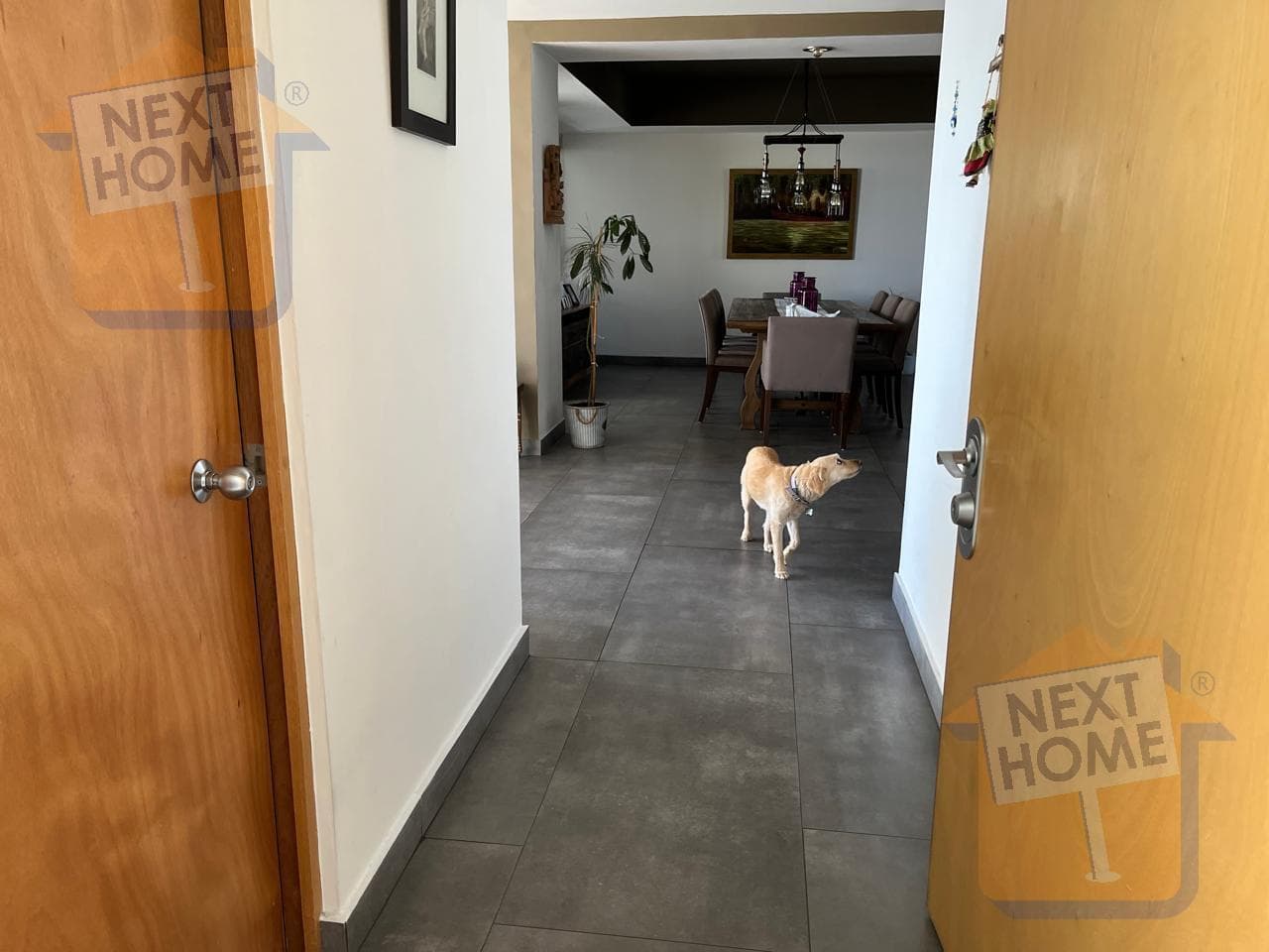 APARTMENT FOR SALE IN BOSQUE REAL