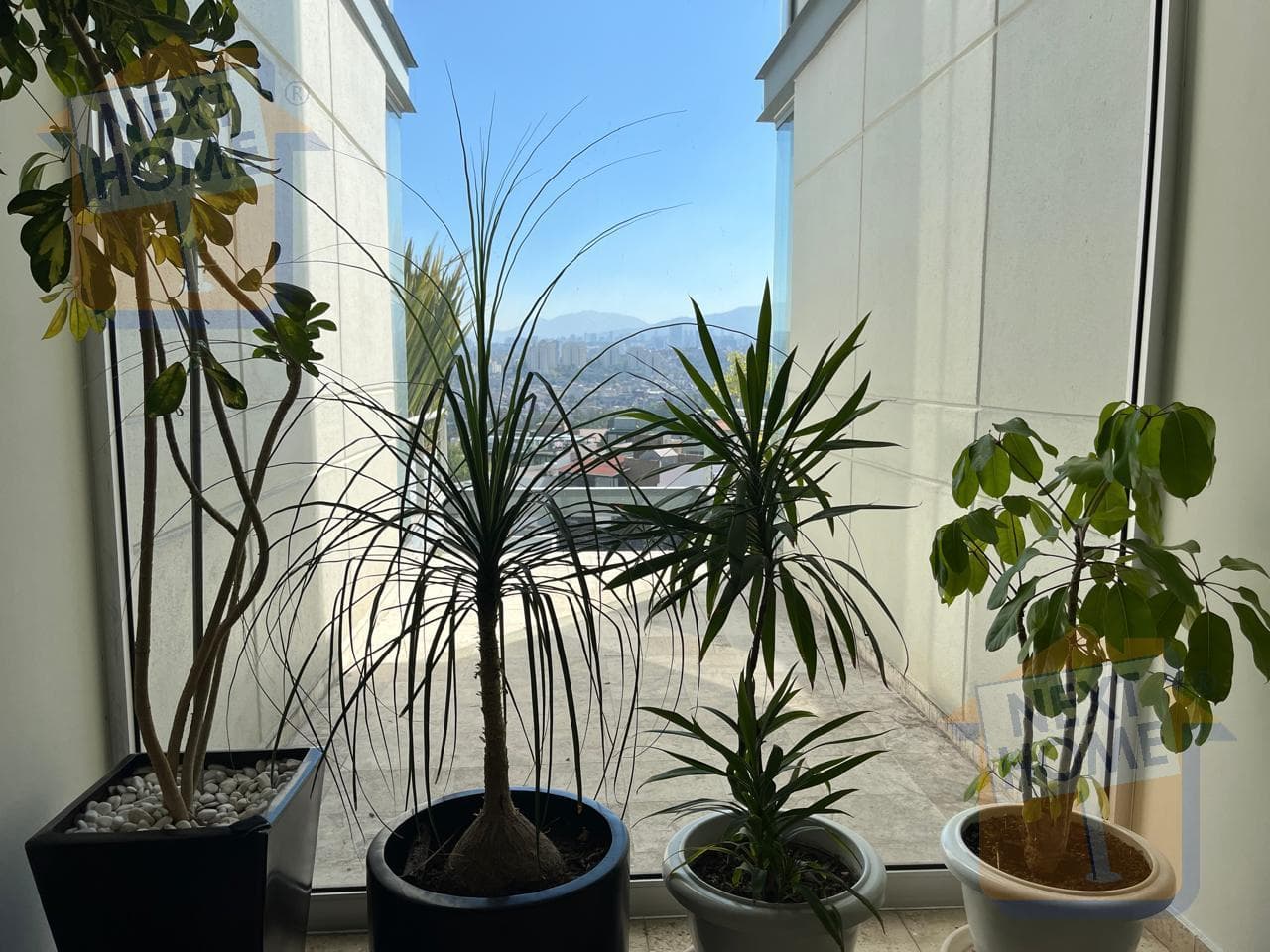 APARTMENT FOR SALE IN BOSQUE REAL