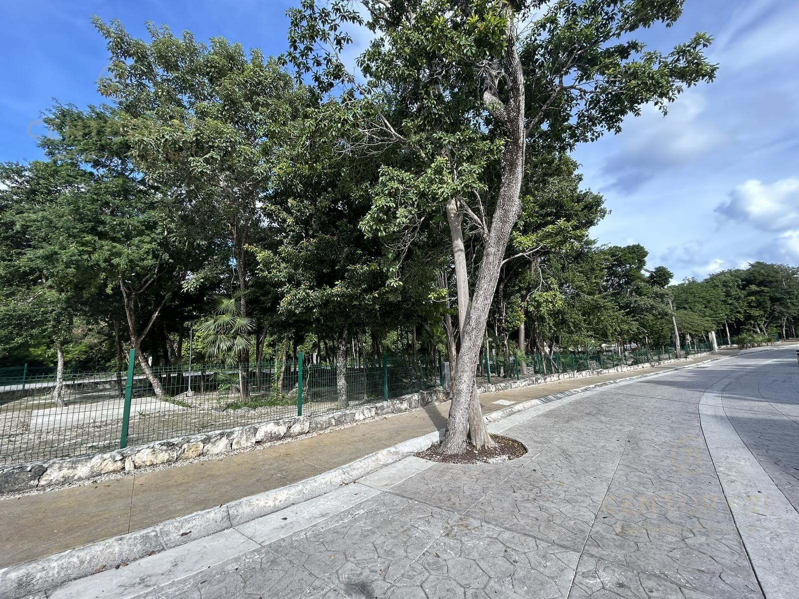 Residential Lot for Sale in Aldea Umm, Puerto Morelos | Near the Cenote Trail | C3924