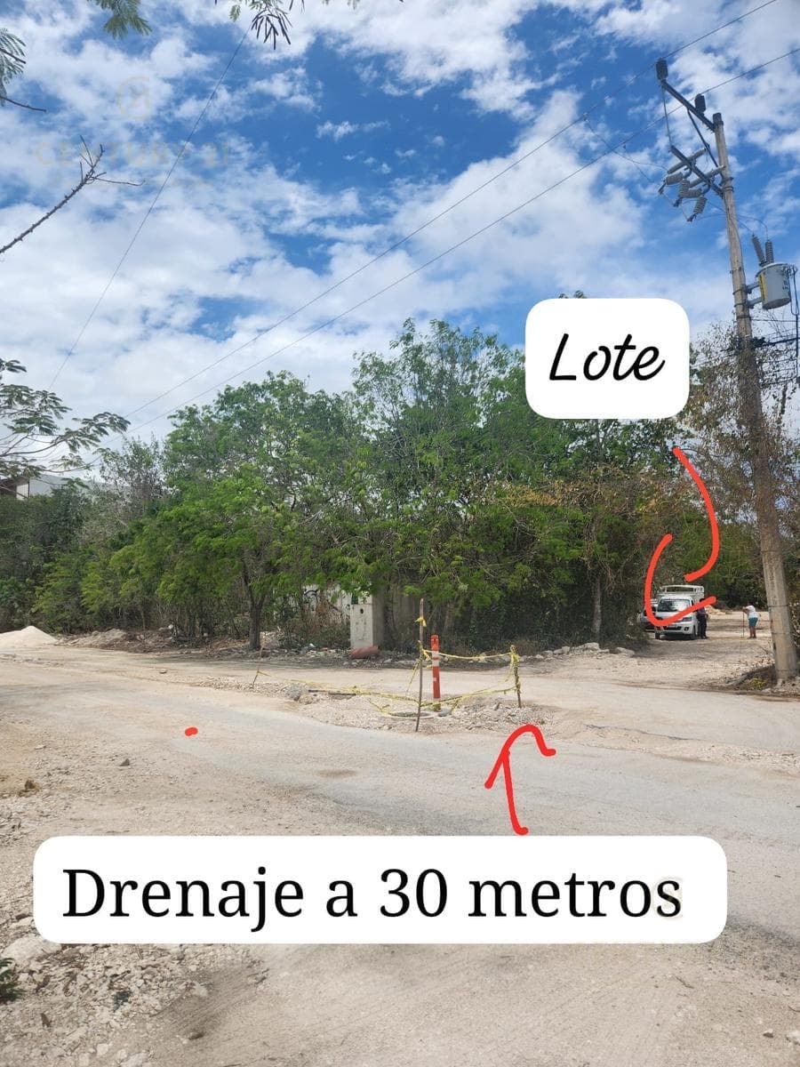 Lot for sale in La Veleta, just steps from 5th Avenue and 7th Street South, Tulum P4293