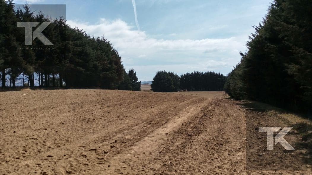 LAND FOR SALE IN XALATLAXO - (4)