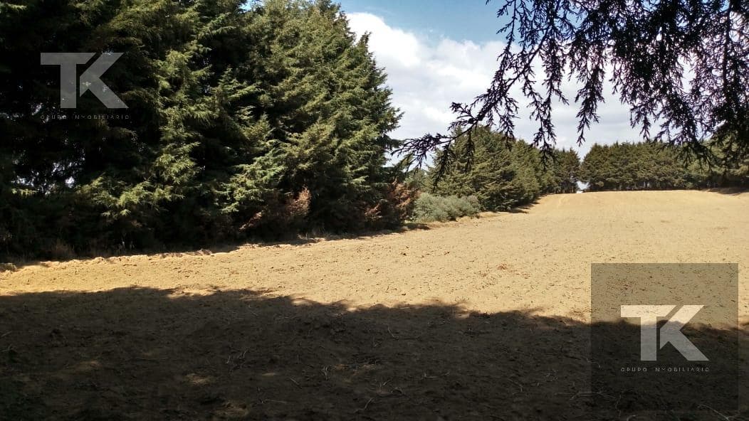 LAND FOR SALE IN XALATLAXO - (4)